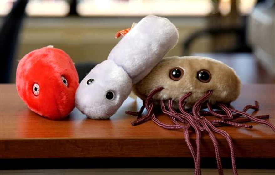 In this Nov. 24, 2010 photo, germs, represented as stuffed toys created by Drew Oliver, are shown in his Stamford, Conn. offices. The onetime Harvard Lampoon editor turned a sense of humor into a growing business of stuffed toy germs. Once found mostly in pediatricians' offices and the labs of off-kilter university professors, his cuddly stuffed germs has spawned a Facebook fan club and subculture of eager collectors. (AP Photo/Craig Ruttle)