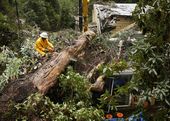 California Storm_Lea.jpg
