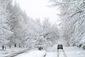 APTOPIX Winter Weathe_Lea(2).jpg