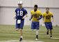 Colts_Football.sff.jpg