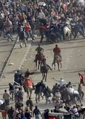 egypt_4134