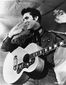 Elvis_Lawsuits.sff.jpg