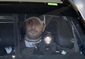 NASCAR_Daytona_500_Auto_Racing.sff.jpg