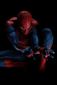 Film_Spider-Man_Title.sff.jpg