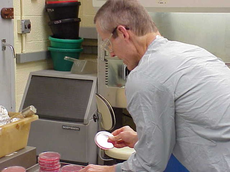 **FILE** This undated image attached to an e-mail sent Nov. 14, 2001 by Bruce Ivins shows him handling "cultures of the now infamous 'Ames' strain of Bacillus anthracis" at his lab, according to the text of the message. Federal investigators overstated the strength of the scientific evidence against a late Army researcher blamed for the anthrax mailings that killed five people in 2001, a panel of scientists said Tuesday after an 18-month review. (Associated Press)