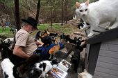 CAT_4687