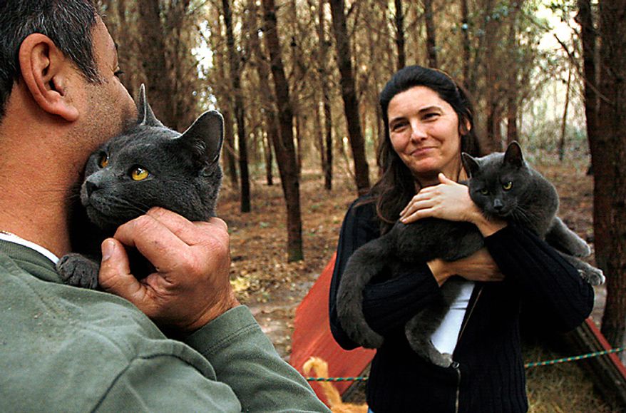 Diane Moreau (right) holds a cat while touring the Caboodle Ranch with her husband Lorenzo (left) in Lee, Fla., on Thursday, Jan. 20, 2011. The couple were on the way to winter over in the Florida Keys when they made a special stop at the cat ranch. Mrs. Moreau says she was inspired to visit the place after seeing it featured on "The Colbert Report." (AP Photo/St. Petersburg Times, Lara Cerri)