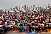 kashmir_4810