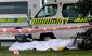 zealand_5058