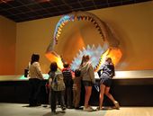 Monster_Shark_Jaws.sff.jpg