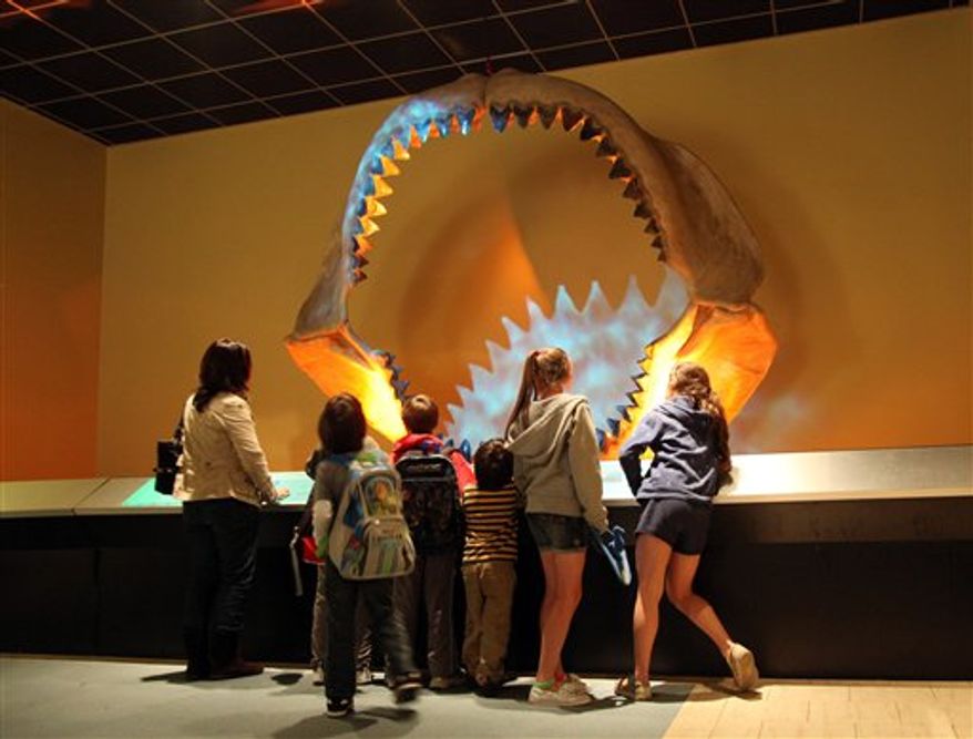 In this March 16, 2011, photo Jacob Solomon looks at the Shark Jaw of a Megalodon, a prehistoric shark, with his wife Lesley Solomon and son Payton at the Museum of Nature and Science in Dallas. The jaw is 11 feet wide and almost 9 feet tall, it consists of 182 teeth collected from South Carolina rivers. The jaws go on sale in June at Heritage Auctions in Dalas _ the starting bid is $625,000. (AP Photo/Rich Matthews)