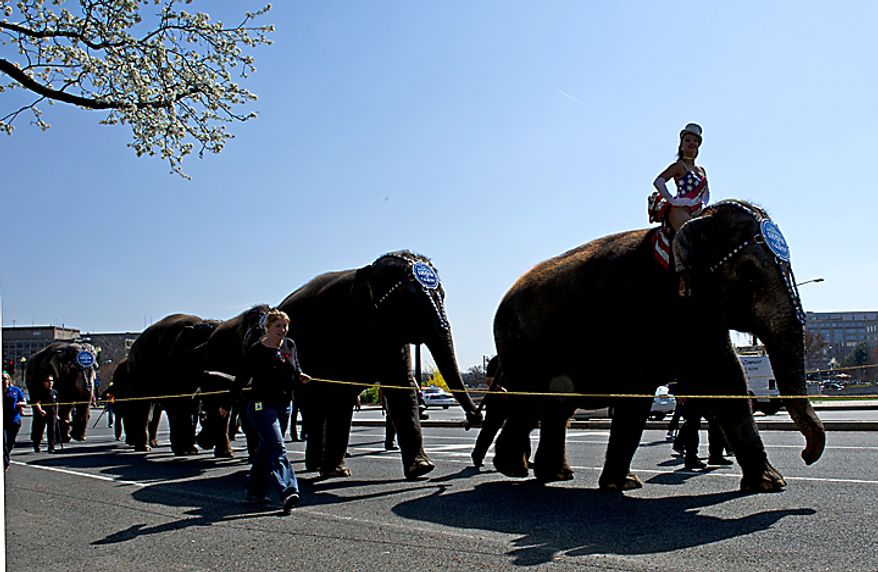 The Ringling Bros. and Barnum & Bailey Circus announces its arrival in Washington with its annual Pachyderm Parade from a train depot in Southwest to the Verizon Center, where the circus will perform. (Barbara L. Salisbury/The Washington Times)