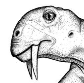 Saber_Tooth_Vegetarian.sff.jpg