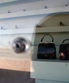 Prada_Marfa.sff.jpg