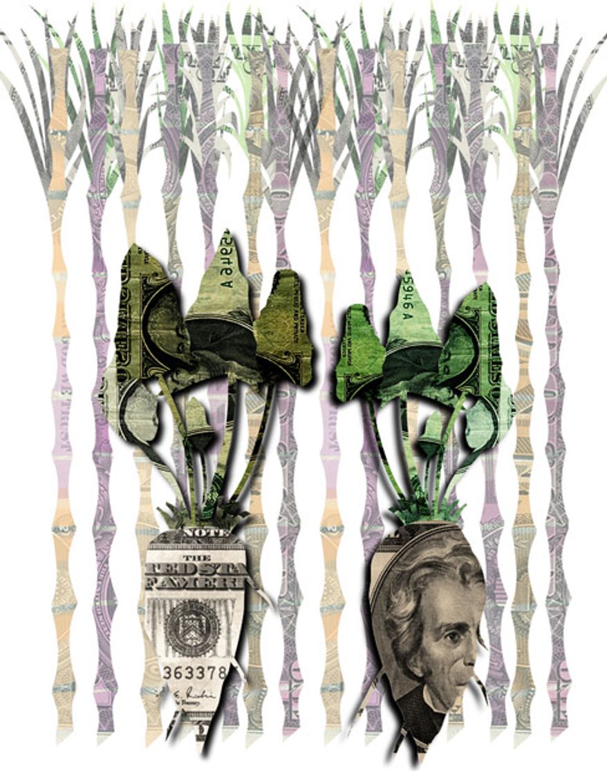 Illustration: Big Sugar by Linas Garsys for The Washington Times