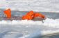 APTOPIX_Norway_Arctic_Prince.sff.jpg