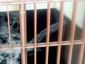 Japan Earthquake_Lea(2).jpg