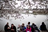 20110407-174747-pic-39934111.jpg
