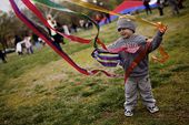 kites_214