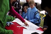 kites_220