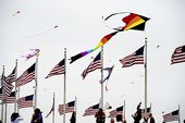 kites_222