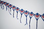 kites_235