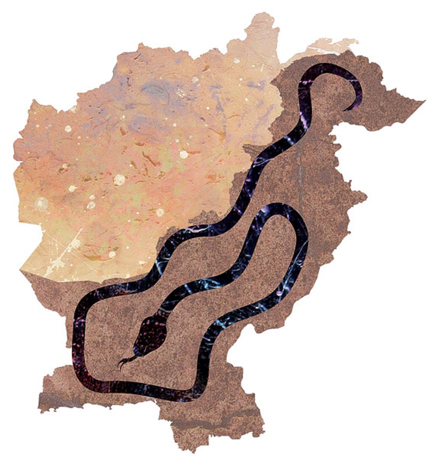 Illustration: Pakistan snake by Greg Groesch for The Washington Times