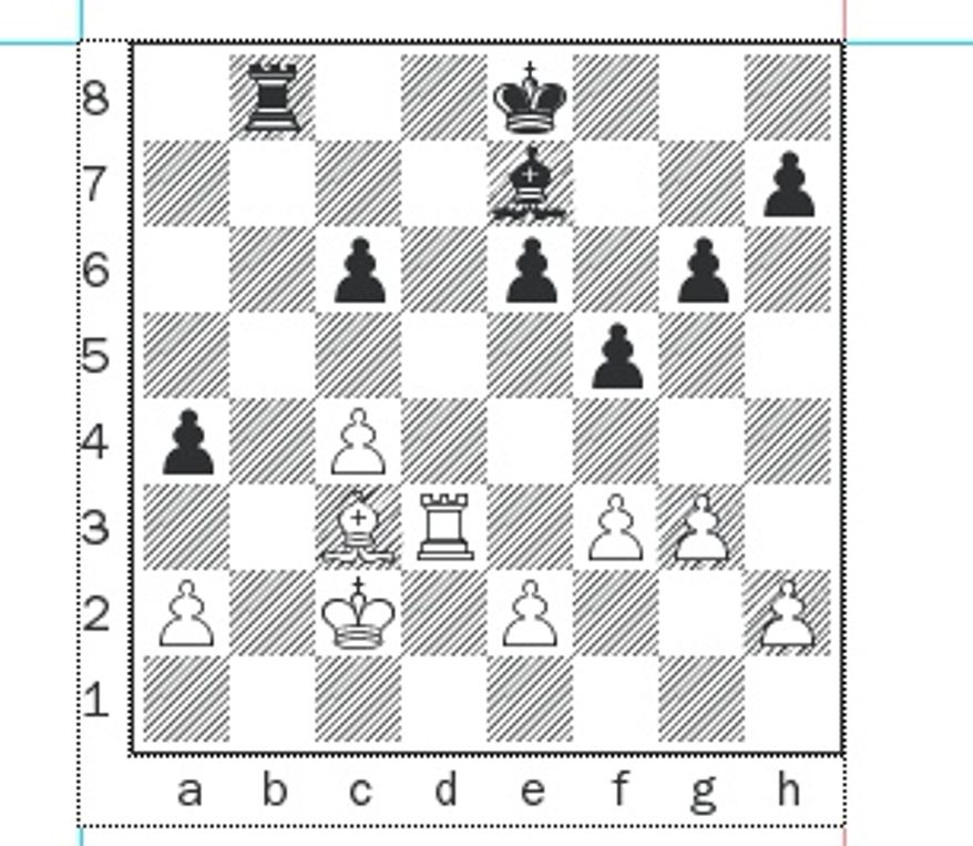 Kamsky-Shulman after 32...f5.