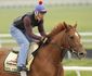 Preakness Motion Hors_Hasc.jpg