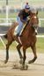 Preakness Motion Hors_Hasc.jpg