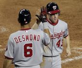Nationals Diamondback_Hasc.jpg