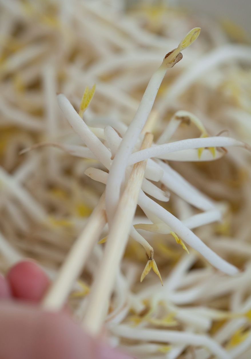 Health authorities say bean sprouts grown in northern Germany have been identified as the likely cause of an outbreak of E. coli that has killed at least 22 people and sickened hundreds in Europe.