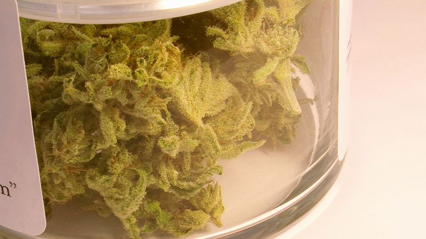 The Remedy Compassion Center identifies the varieties of medical marijuana with numbers and more commercial names such as one called “Bubblegum.” (Guy Taylor/The Washington Times)