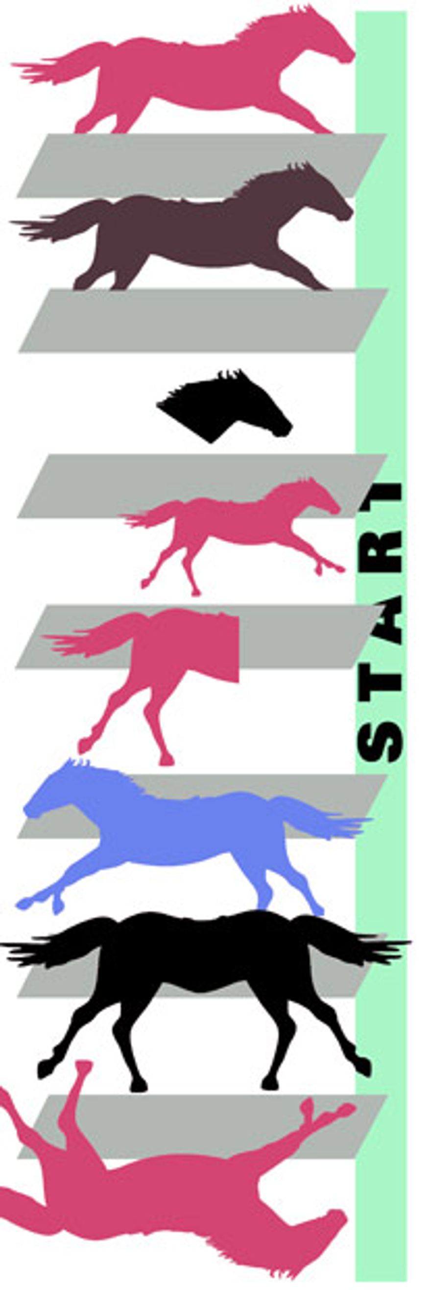 Illustration: Horse race