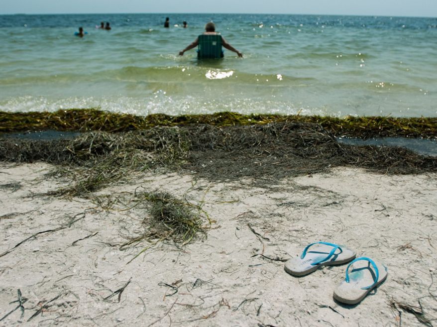 Beach goers enjoy the first day of summer at Fred Howard Park in Tarpon Springs, Fla. (AP Photo/The Tampa Tribune, Chris Urso)