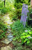 20110623-080729-pic-39561149.jpg