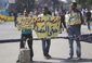 Mideast Egypt_Lea.jpg
