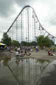 Roller Coaster Death_Lea(2).jpg