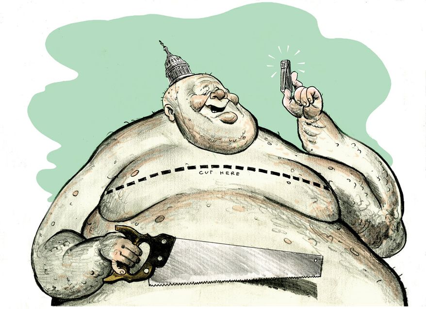 Illustration: Washington spending cuts by Linas Garsys for The Washington Times