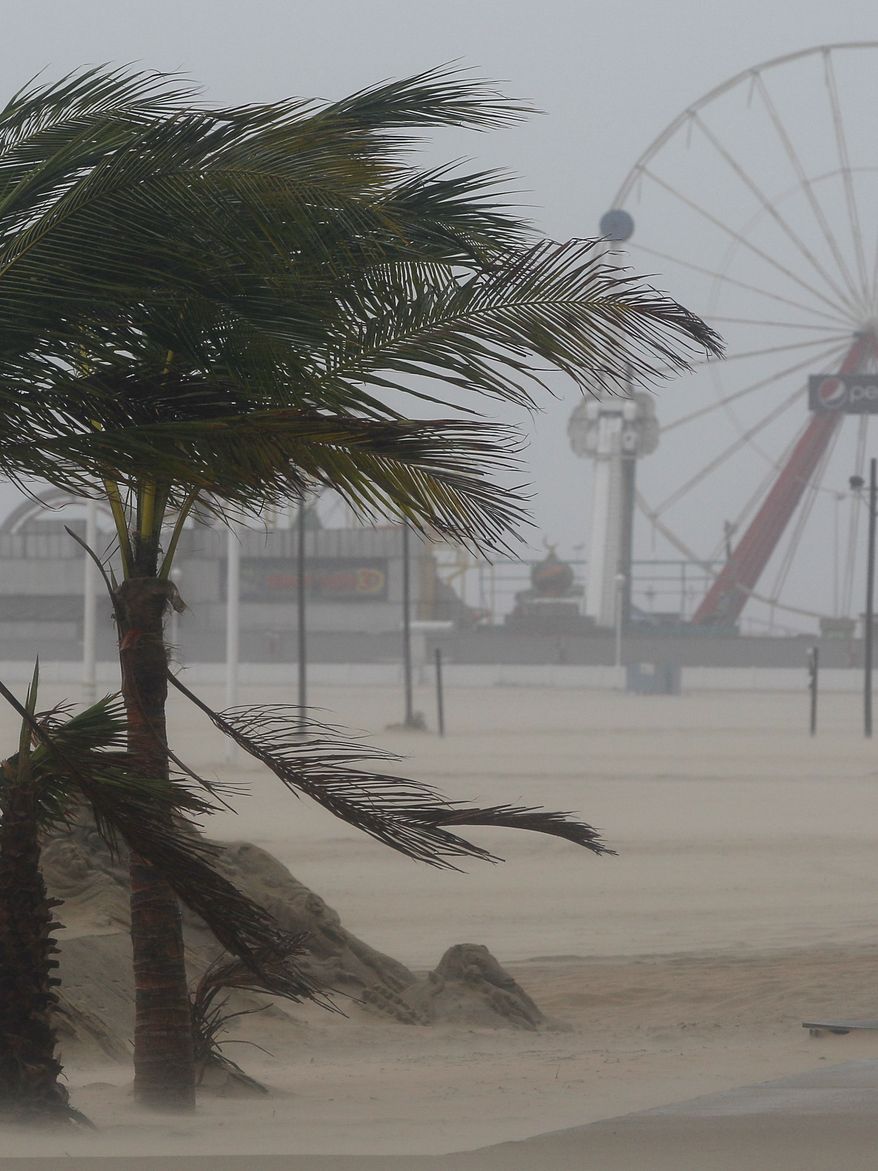 Wind blows against palm trees on a beach in Ocean City, Md., on Saturday, Aug. 27, 2011, as Hurricane Irene heads toward the Maryland coast. (AP Photo/Patrick Semansky)