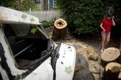 IRENE_1043.jpg