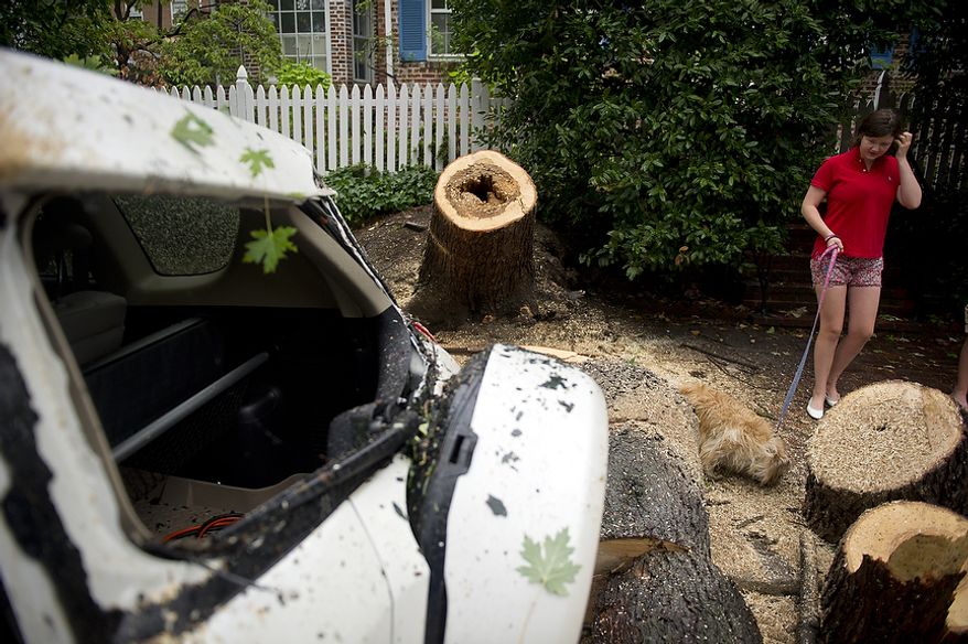 Isabelle Craner, 14, checks out the scene where a maple tree fell in front of her home on Princess Street in Alexandria's Old Town area during Hurricane Irene on Sunday, Aug. 28, 2011. The downed tree damaged a Toyota Rav4. (Rod Lamkey Jr./The Washington Times)