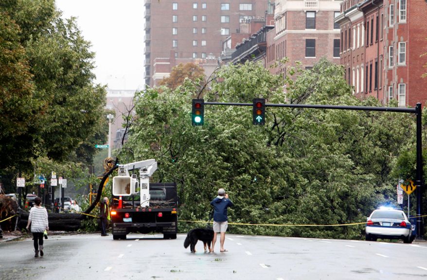 A large tree lies across Beacon Street in Boston in the aftermath of hurricane Irene, Sunday, Aug. 28, 2011. (AP Photo/Michael Dwyer)