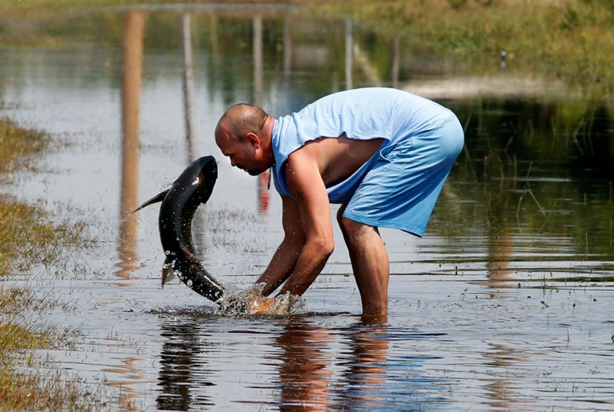 Greg Austin of Avon, N.C. tries to save a large fish that was washed out of a local pond during the storm surge from Hurricane Irene, in Avon, N.C., Monday, Aug. 29, 2011. (AP Photo/The News & Observer, Chuck Liddy)
