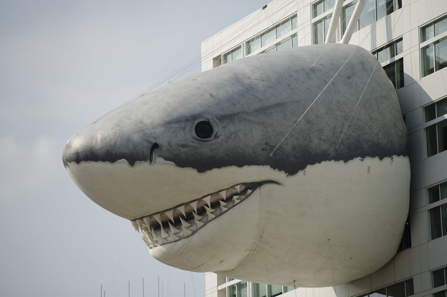Chompie