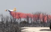 Drought Wildfires_Lea.jpg