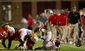 TERPS_438