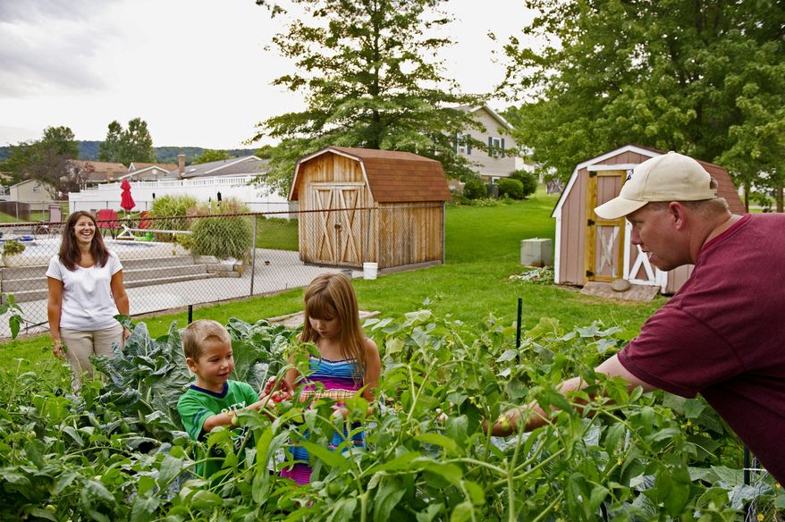 Jessica and Daniel C. Pfielstucker Jr. tend to their garden with their children, Haley and Ben, in Duncansville, Pa. Mr. Pfielstucker was a contractor working inside the Pentagon and managed to free himself from the rubble. "It got scary quiet," he recalled. "Then people started screaming for help." (Andrew Harnik/The Washington Times)