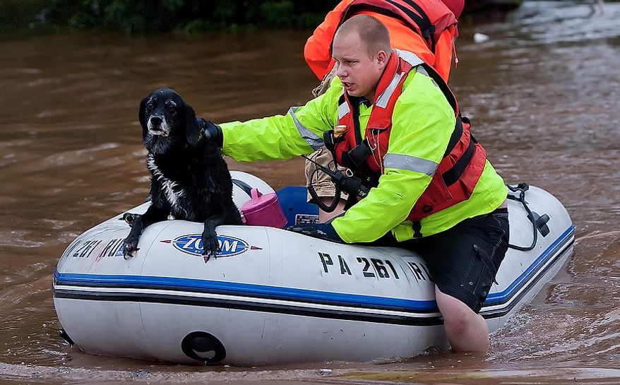 Lower Swatara Twp. Fire Fighter Justin Chenault holds onto Ginger after rescuing her from a flooded mobile home in Lower Swatara Twp. on Thursday, Sept. 8, 2011. Nearly 100,000 people from New York to Maryland were ordered to flee the rising Susquehanna River on Thursday as the remnants of Tropical Storm Lee dumped more rain across the Northeast, closing major highways and socking areas still recovering from Hurricane Irene. (AP Photo/The Patriot-News, Christine Baker)