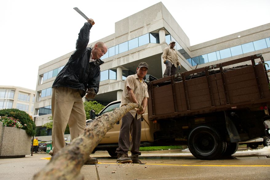 Nick Pyteo (left), a supervisor for a clean-up and landscaping company, chops up a large tree limb before hauling away a truckload of debris from a parking lot on Eisenhower Avenue in Alexandria, Va., on Sept. 9, 2011. The lot was flooded after heavy rains pounded the region the previous night. (Andrew Harnik/The Washington Times)